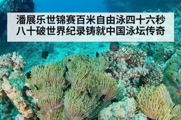 潘展乐世锦赛百米自由泳四十六秒八十破世界纪录铸就中国泳坛传奇